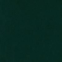 Искусственная замша Ultrasuede, 21.5х21.5см (толщина 0.8мм), темно-зеленая, лист, 1 шт. Искусственная замша Ultrasuede, 21.5х21.5см (толщина 0.8мм), темно-зеленая, лист, 1 шт.