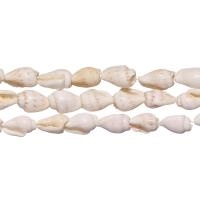 Бусина из ракушки, 7х4 - 12х8мм, белая, 110-170 шт., низка