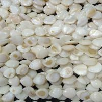 Бусина перламутр, 18х13х5мм, плоская капля, белая, 21 шт., низка