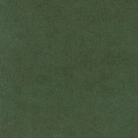 Искусственная замша Ultrasuede, 21.5х21.5см (толщина 0.8мм), травянисто-зеленая, лист, 1 шт. Искусственная замша Ultrasuede, 21.5х21.5см (толщина 0.8мм), травянисто-зеленая, лист, 1 шт.