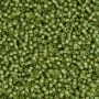<p>Японский бисер TOHO Round (круглый Тохо), размер 11/0 (2.2 мм). Прозрачный бледно-желтый бисер, окрашенный изнутри в мятно-зеленый цвет (Inside-Color Jonquil/Mint Julep Lined). Оттенок может отличаться от фотографии. Цена за 10 грамм. Среднее количество бисерин в 1 грамме Toho 11/0 от 70 до 120 штук, может сильно варьироваться в зависимости от вида бисера.</p>