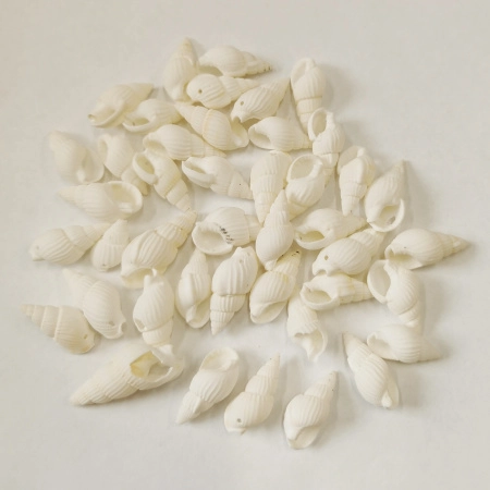 <p>Подвеска из натуральной тонированной веретенообразной раковины. У отверстия возможны небольшие сколы, отверстие может быть смещено относительно центра. Размеры варьируются от 12*7 до 35*15мм. Цвет белый, возможны желтоватые участки, тёмные пятнышки. Оттенок может отличаться от фотографии и в разных поставках. Попадаются ракушки со сколами. Цена за 30 грамм (около 40-60 штук в зависимости от размера, фасуются без проверки на дефекты и без подбора по размеру).</p>