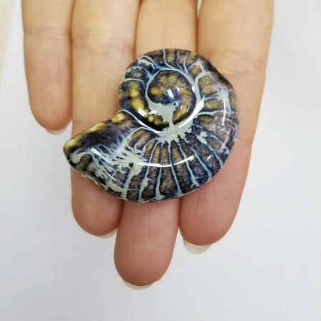 <p>Крупная эффектная керамическая бусина - ракушка ручной работы. Бусина покрыта глазурью светло-бежевого цвета с сине-голубыми и коричневыми узорами. Цвет может отличаться от фотографии. Бусины могут отличаться по форме и размеру, рисунок на каждой бусине уникален. Диаметр отверстия - около 3 мм. Отверстие может быть сделано не очень аккуратно. Цена за 1 бусину.</p><p>Внимание: Возле отверстия также возможны сколы, отсутствие глазури.</p>