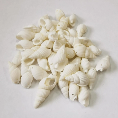 Подвеска ракушка, 12-35мм, Веретенообразная с одной дырочкой, базовый материал - ракушка, белая, 30 грамм