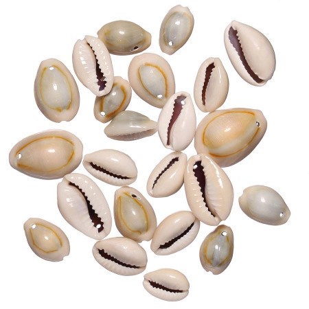 Подвеска ракушка, 10-20мм, Каури с одной дырочкой, базовый материал - ракушка, серая с желтым, 15 грамм