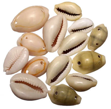 Бусина ракушка, 15-30мм, Каури с двумя дырочками, 15 грамм