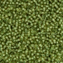 <p>Японский бисер TOHO Round (круглый Тохо), размер 11/0 (2.2 мм). Прозрачный бледно-желтый бисер, окрашенный изнутри в мятно-зеленый цвет (Inside-Color Jonquil/Mint Julep Lined). Оттенок может отличаться от фотографии. Цена за 10 грамм. Среднее количество бисерин в 1 грамме Toho 11/0 от 70 до 120 штук, может сильно варьироваться в зависимости от вида бисера.</p>