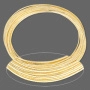 <p>Проволока с памятью для браслета, нержавеющая сталь с позолотой. Оттенок может отличаться от фотографии. Толщина проволоки 0.6-0.75 мм, диаметр 4,45 см. Цена за 5 витков.</p><p>ВНИМАНИЕ: на проволоке возможны темные пятнышки.</p>