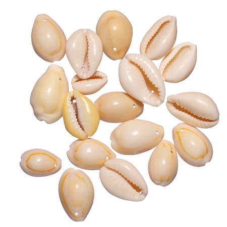 Подвеска ракушка, 17-25мм, Каури с одной дырочкой, базовый материал - ракушка, молочная с желтым, 15 грамм